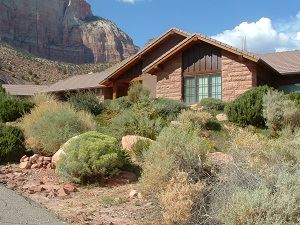 House Surrounded by Plants