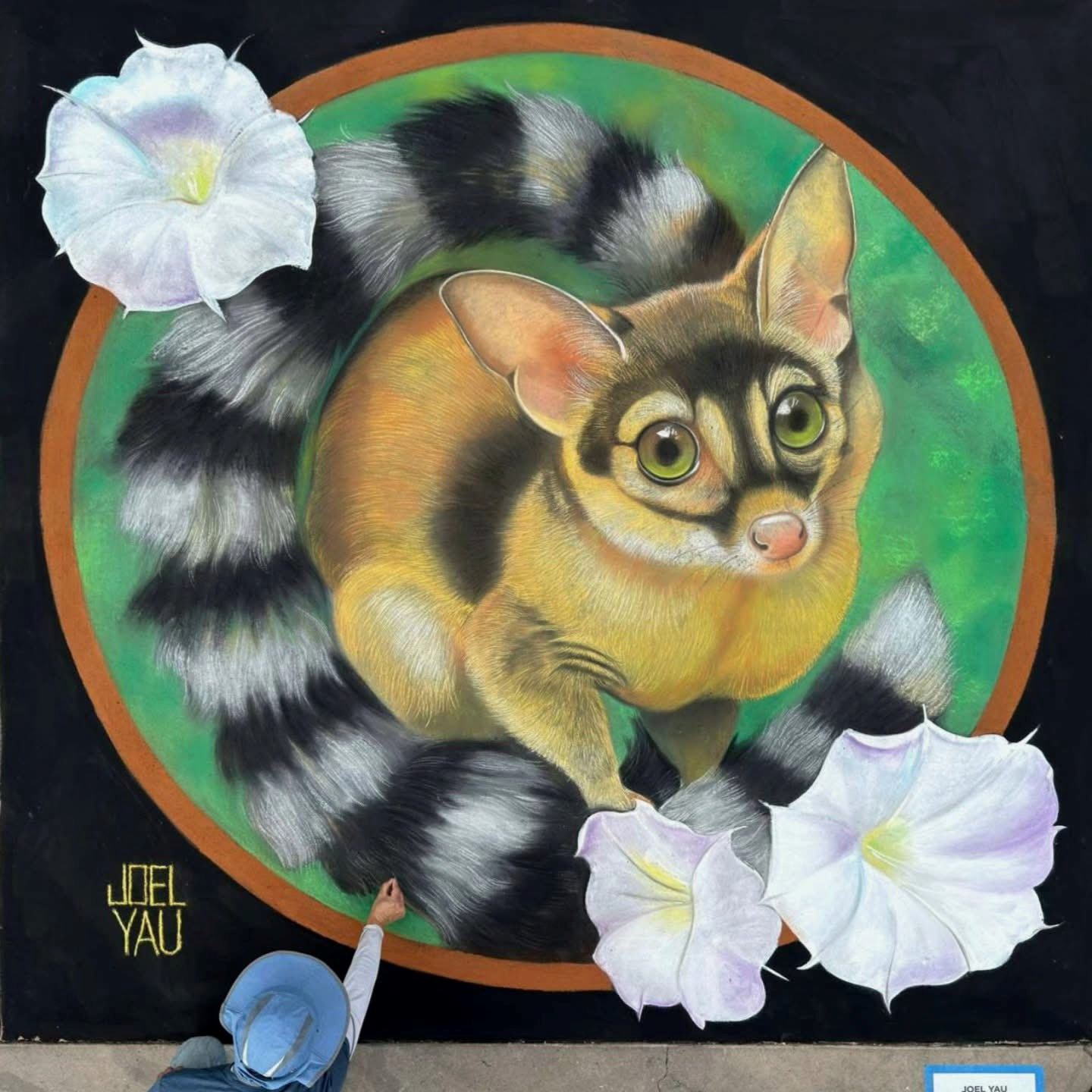 597572311_828140583547553_8881658283309940330_n